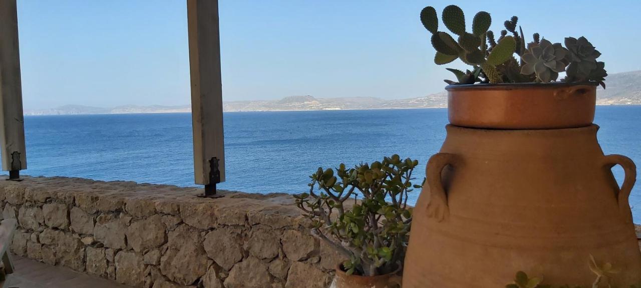 Apartment Le Grand Bleu